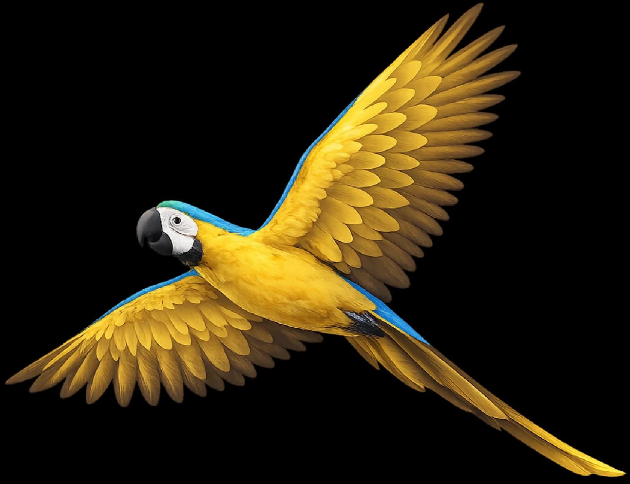 Burung Merah